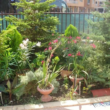 однокомнатные Summer Breeze 207 Apartment Slantschew brjag